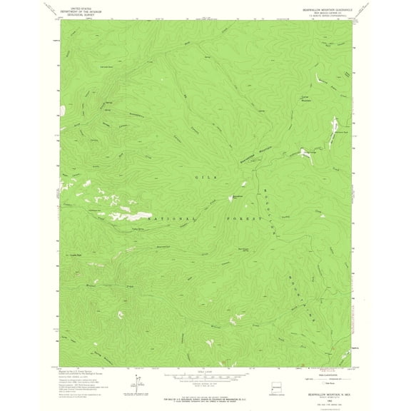 Topographical Map - Bearwallow Mountain New Mexico Quad - USGS 1963 - Vintage Wall Art