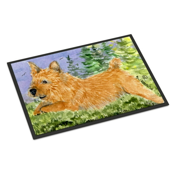 Carolines Treasures SS8910JMAT Norwich Terrier Doormat 24x36 36"L x 24"W multicolor