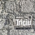 thumbnail image 1 of Trinciu *, 1 of 1