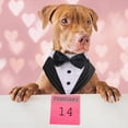thumbnail image 2 of Conjunto de esmoquin para perro PUMYPOREITY, pajarita a rayas, formal, L, 2 of 7