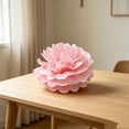 thumbnail image 6 of Tissue Paper Pom Poms Flowers, 3 Sizes 8",10",12" Pink Hanging Paper Flower Balls for Wedding, Birthday, Valentine's Day, Baby Shower Party Decor, Festive Celebrations & Event Hanging Accents, 6 of 6