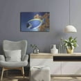 thumbnail image 6 of Luxe Metal Art 'Powder Blue Tang' by Durwood Coffey, Metal Wall Art, 24"x16", 6 of 8