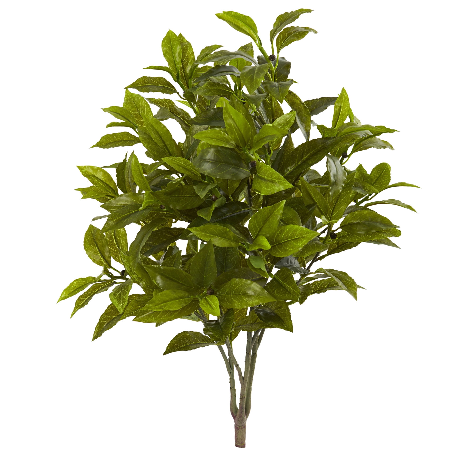 26” Coffee Leaf Artificial Plant (Set of 2) (Real Touch