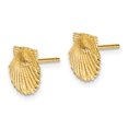 thumbnail image 2 of 14k Yellow Gold Solid Scallop Shell Post Earrings, 2 of 7