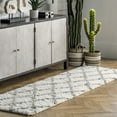 thumbnail image 4 of nuLOOM Tess Cozy Soft & Plush Modern Area Rug, 4 of 8