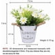 thumbnail image 2 of Potted Artificial Daisies Flowers In Metal Pot, Fake Silk Bonsai Plants With Vase For Indoor, 2 of 5