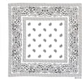 thumbnail image 3 of ZEN 3 PCS 100% Cotton Bandana for Men & Women 22" x 22" Paisely Pattern Handkerchief Headband Scarf, 3 of 9