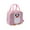 Y2-C, variant on WANGJING Lunch Bag Cute Lunch Box for Women Reusable Lunch Bag Handbag Keep Fresh Bag Cooler Handbag for Picnic Work