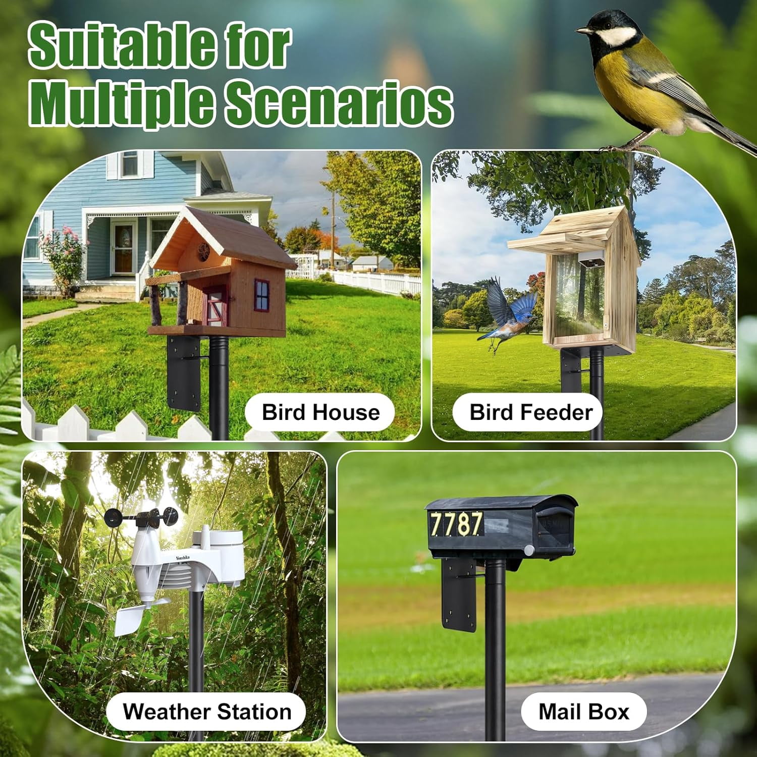OLIYNEDY Bird Feeder Pole, Heavy Duty Bird House Pole for Wild Birds Watching, 60" Adjustable BlueBird House Stand for Outdoors Yard