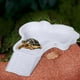 thumbnail image 5 of Bebedero para Reptiles | Bañera Desmontable con Escalera | Material Grueso y Duradero | Fácil de Montar | Espacio Seguro para Tortugas, Anfibios y Animales Acuáticos, 5 of 6