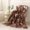 🔥 Brown_New, variant on TTJ Printed Drawstring Flannel Blanket Scandinavian Tie Velvet Office Napping Throw 59.1x78.7 in Soft Breathable Cozy Lightweight Machine Washable All-Season Sofa Bed Blanket Throw