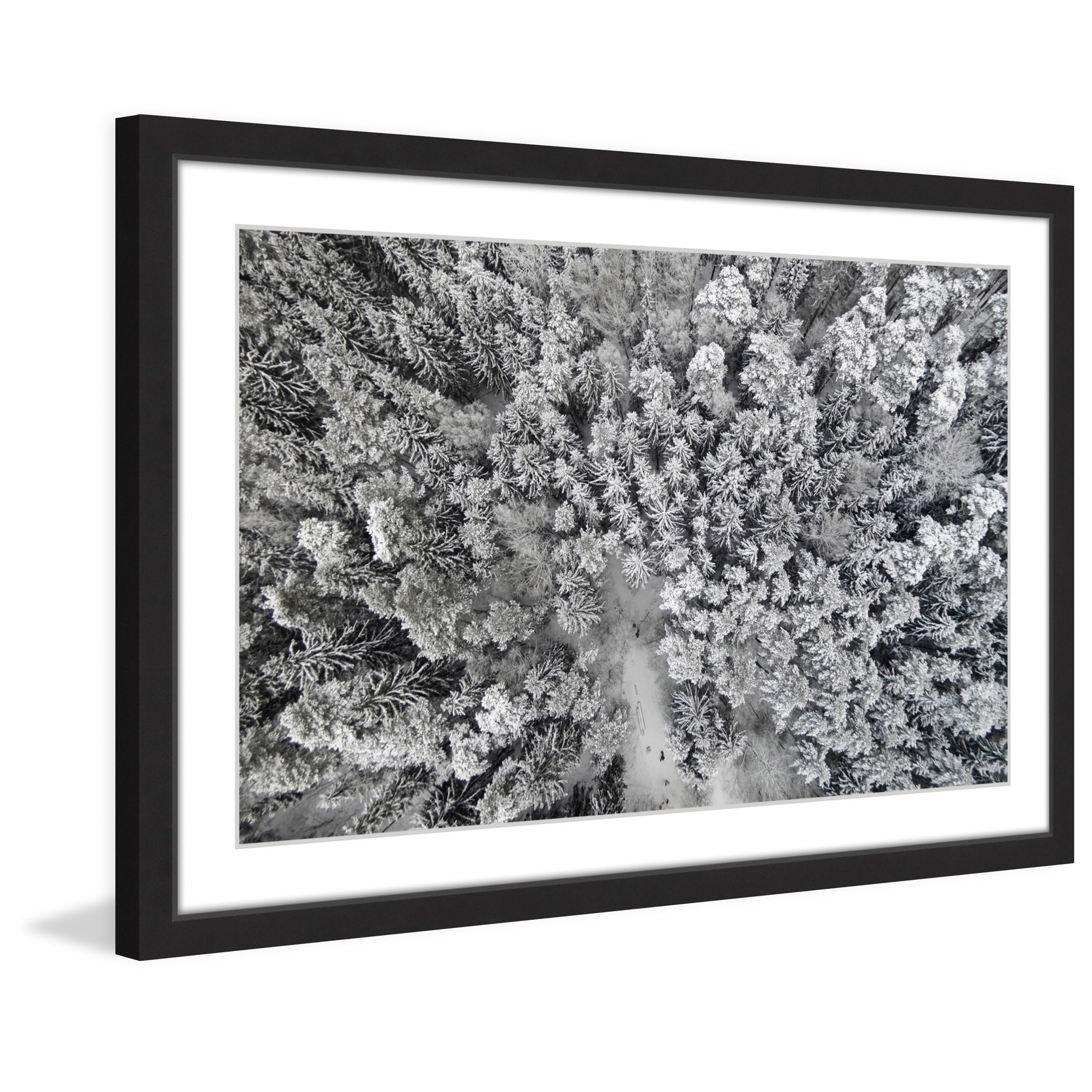 Marmont Hill "Frozen Friends" By Karolis Janulis Framed Painting Art Print, 24.0" x 1.5"