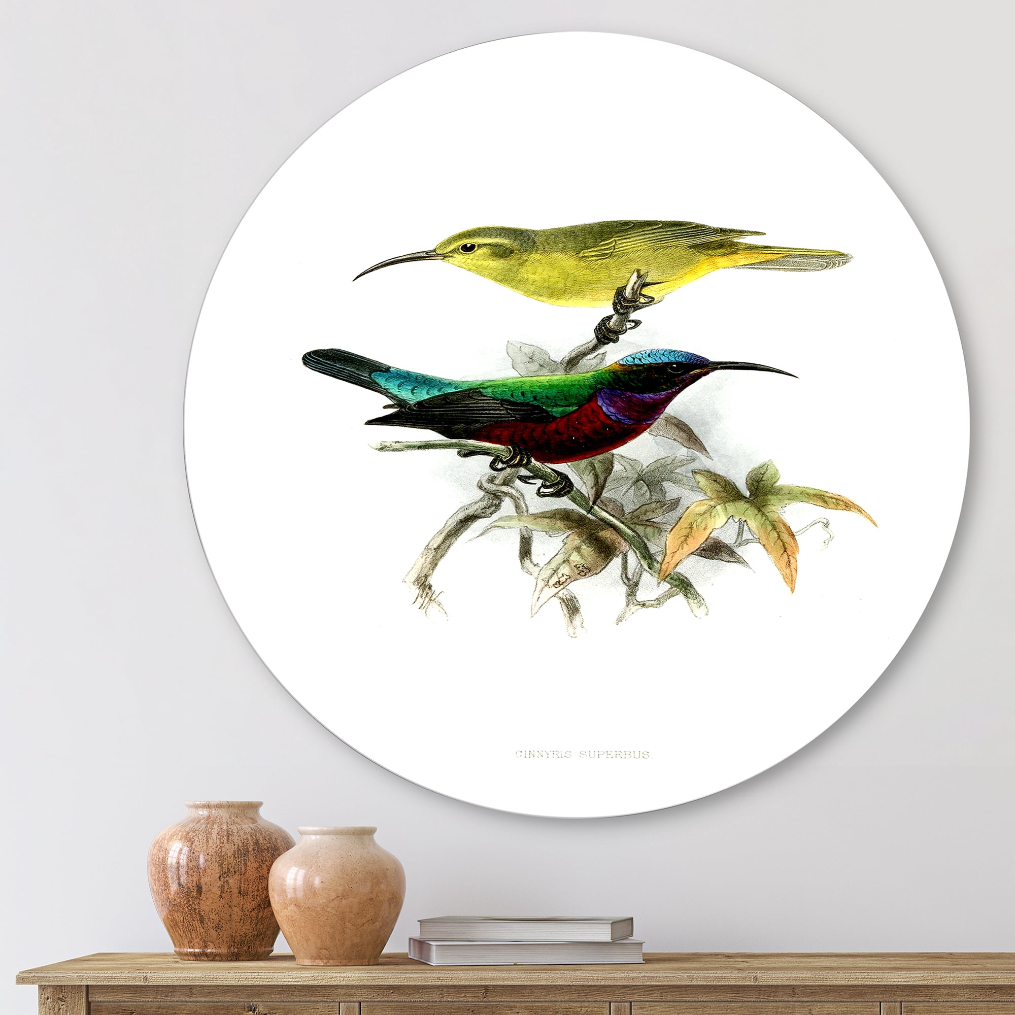 Designart 'Ancient Australian Birds XV' Traditional Circle Metal Wall Art 11x11 - Disc of 11