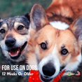 thumbnail image 4 of Colonia para Perro Showseason Spring Rain 250 ml Eliminador de Olores, 4 of 5