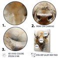 thumbnail image 3 of Designart "Great Plains Bison Bust II" Animals Buffalo Picture Framed Canvas Wall Art, 3 of 5