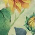 thumbnail image 5 of WIRESTER Grocery Bag Heavy Duty Reusable Foldable Groceries Tote Bag Portable And Folding Shopping Bag - Sunflowers Flowers, 5 of 7