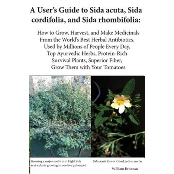 Pre-Owned User's Guide to Sida Acuta, Sida Cordifolia, and Sida Rhombifolia : How To Grow, Harvest, And Make Medicinals From The World's Best Herbal Antibiotics, Used By Millions Of People Every Day, Top Ayurve