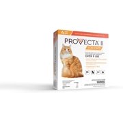Provecta II Flea Treatment Cats Over 9 lbs 4 Monthly Topical Kills Fleas & Eggs Fast