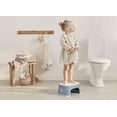 thumbnail image 2 of BabyBjorn Potty Training Bundle, Deep Blue/White, 2 of 9