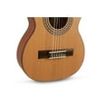 thumbnail image 6 of Manuel Rodriguez Classical Guitar Tradicion T-44, Red-Cedar/Mahogany 1/4 Size, 6 of 6
