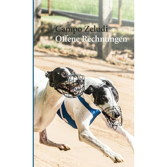 Offene Rechnungen: Ausfälle und Kampfkühe: Fussnoten der Sportgeschichte, (Paperback)