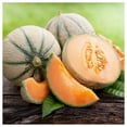 thumbnail image 3 of Everwilde Farms - 50 Planters Jumbo Melon Seeds - Gold Vault Jumbo Bulk Seed Packet, 3 of 5
