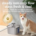 thumbnail image 6 of Veken Innovation Award Winner Stainless Steel Cat Water Fountain, 108oz/3.2L Automatic Pet Fountain Dog Water Dispenser with Replacement Filters & Silicone Mat for Cats, Dogs, Multiple Pets (Silver), 6 of 10