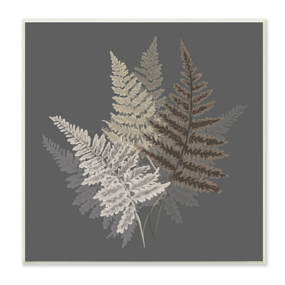 Stupell Industries Fern Sprigs Leaves Layered Nature Earthy Botanicals Graphic Art Unframed Art Print Wall Art, Design by House of Rose