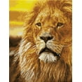 thumbnail image 3 of Diamond Dotz Lord of the Serengeti - Pre-Framed Kit Lion Diamond Painting Kits for Adults - Diamond Art Kits a Relaxing Creative Craft Kit with Dotz Gems 13.7"x17.7", 3 of 5