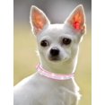thumbnail image 4 of 1pc Rhinestone Decor Pet Collar, 4 of 4