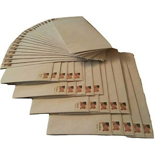 SRstrat 100 Pack Coin Envelopes,Kraft Small Coin Envelopes Self-Adhesive  Kraft Seed Envelopes Mini Part Blank Small Envelopes For Coins, Receipts