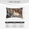 thumbnail image 4 of Fuzoiu Serene Kitten Kingdom Print Fuzzy Pillowcases, Super Soft Pillow Case Cover with Zipper for Bedroom, Sofa, Couch,Cozy Pillow Shams for All Seasons-14"x20", 4 of 6