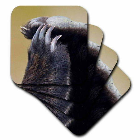 

3dRose Grizzly Bear Paws and Claws - US02 JGS0037 - Jim Goldstein - Soft Coasters set of 8