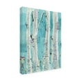 thumbnail image 4 of Trademark Fine Art 'Love Aqua' Canvas Art by Kellie Day, 4 of 4