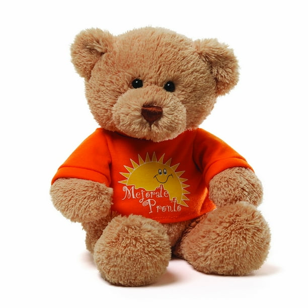 Gund Spanish Get Well T-Shirt Bear Plush