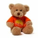 Gund Spanish Get Well T-Shirt Bear Plush – image 1 sur 1