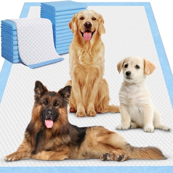 Puppy Pads Extra Large for Dogs 31"x47" 40 Count, Leak-Proof & Super Absorbent Dog Pee Pads, Thicken Disposable Potty Pads Puppy Training Pads for Cats Rabbits (40PCS)