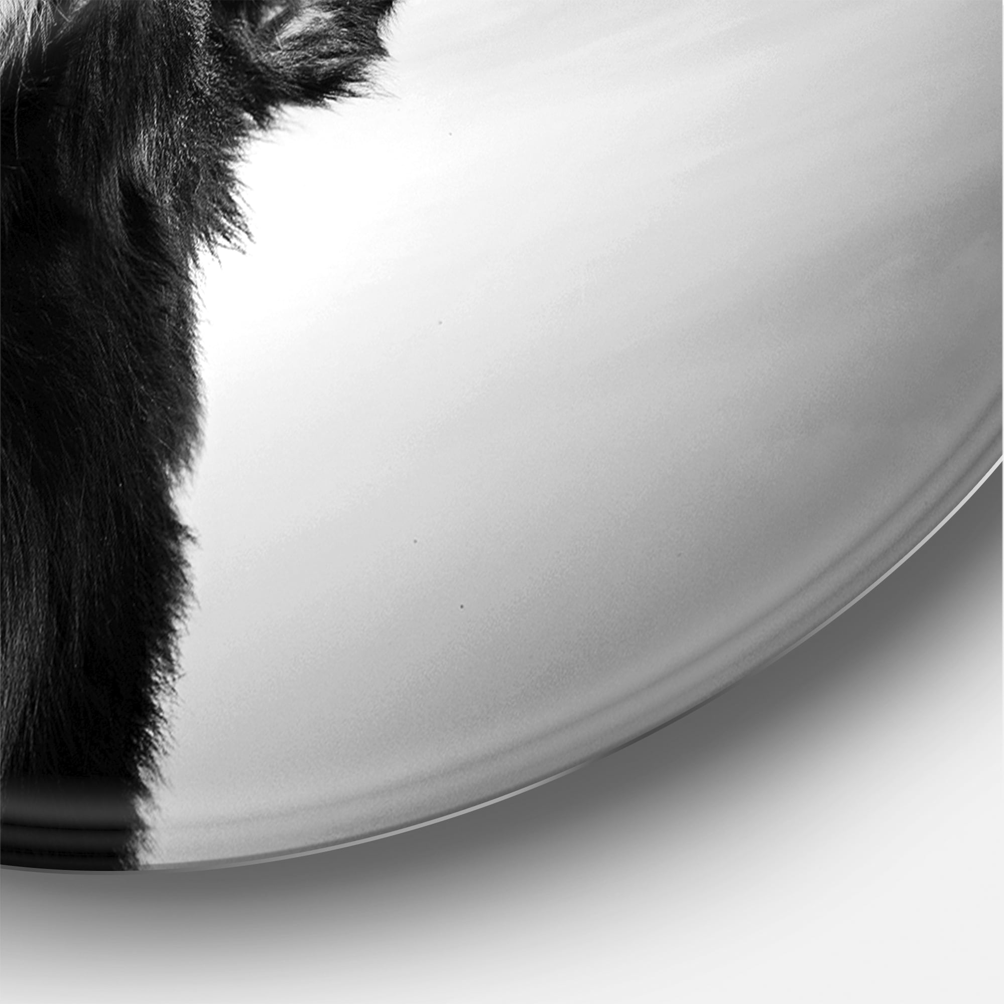 Designart 'Black and White Portrait Of A Spanish Bull I' Farmhouse Circle Metal Wall Art 29x29 - Disc of 29