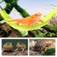 thumbnail image 2 of Hamaca para Dragón Barbudo, Hamaca para Lagartos con Ventosas, Accesorios para Tanques de Dragón Barbudo, Reposera para Gecos, Amarillo Fluorescente, 1 Set, 2 of 7