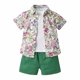 thumbnail image 1 of Conjunto de ropa para bebé niño Herrnalise de 1T, 2T, 3T, 4T, 5T y 6T, con camisa de manga corta y pantalones cortos lisos con flores para verano., 1 of 8