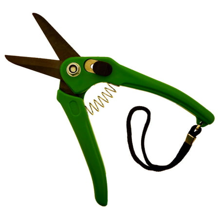 Garden Scissors (Best Japanese Garden Scissors)