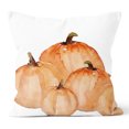 thumbnail image 5 of Fall Autumn Harvest Pumpkin Rustic Cushion Cover Pillow Case Home Decor Art, 5 of 5