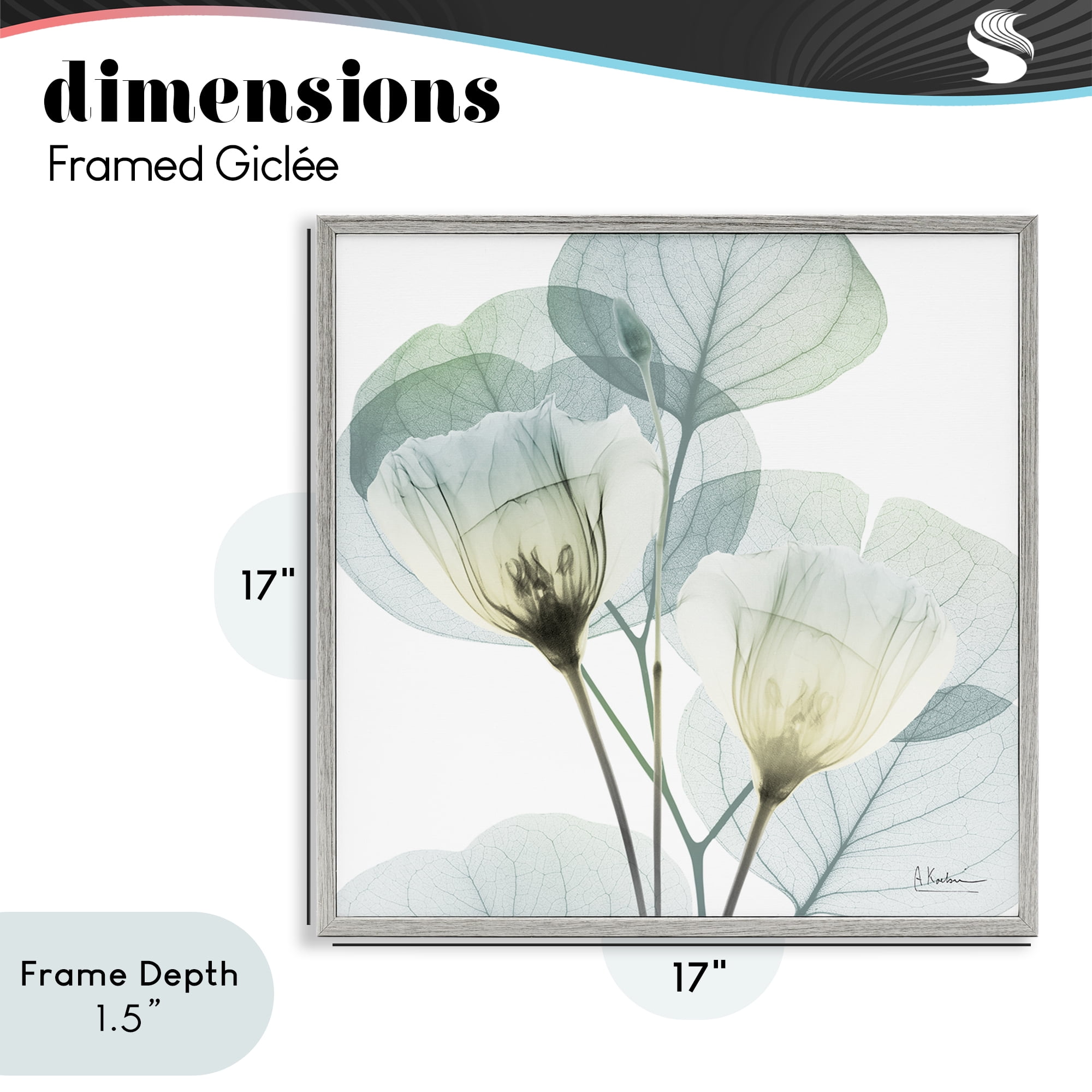Stupell Industries Divine Fate Flower Leaves Gray Framed Giclee Art, design by Albert Koetsier
