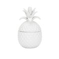 thumbnail image 1 of IMAX Corporation Bala Lidded Pineapple in White, 1 of 1