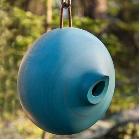 Mango Tree Ellipse Bird House