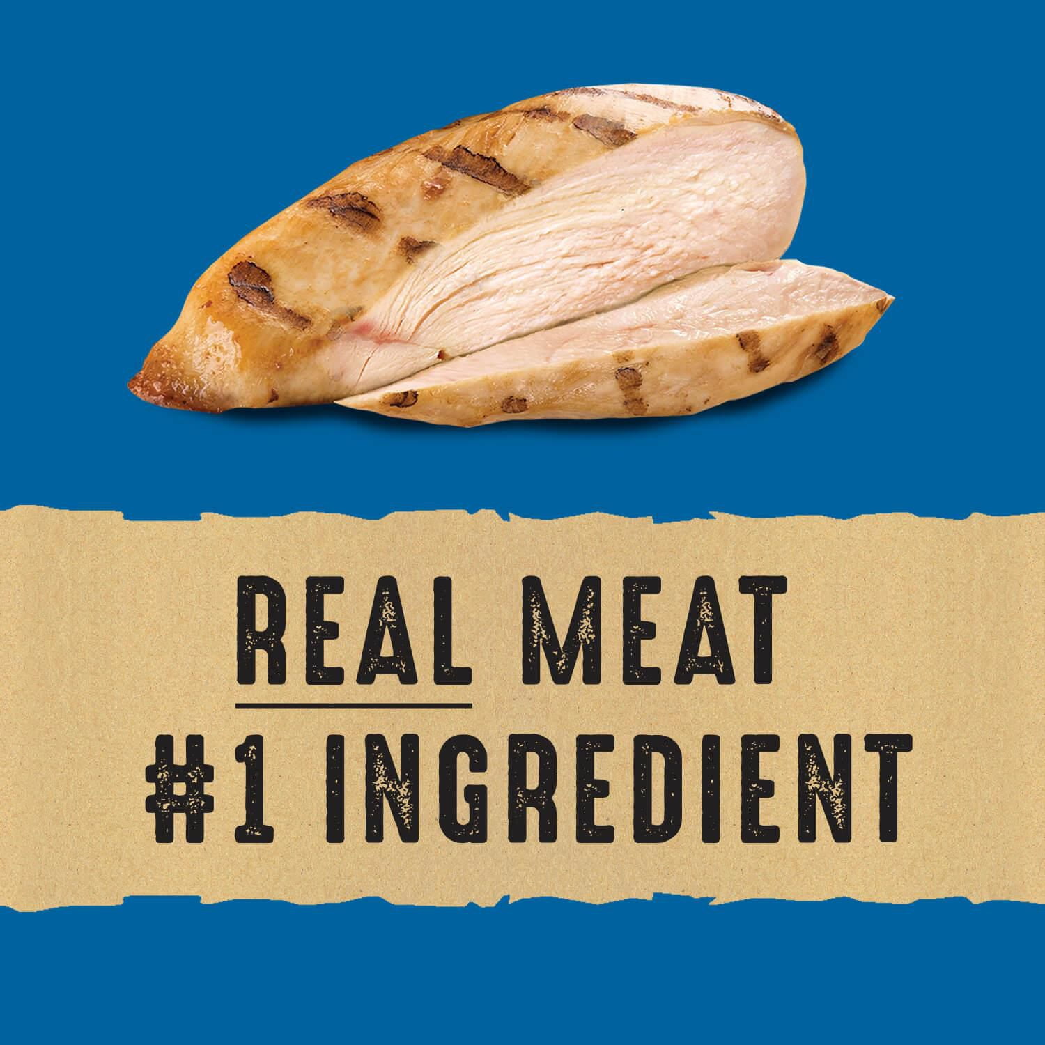 Nature's Recipe Chewy Bites Grain Free Natural Dog Treats, Chicken, Sweet Potato & Apple Recipe