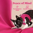 thumbnail image 4 of Chaleco Dog Harness Rabbitgoo Step-in de malla suave para cachorros XS, 4 of 5