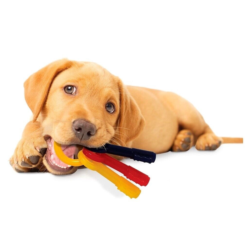 Puppy Teething Keys, Rings or Pacifiers Durable Dog Dental Health Chew Toys (7" Small Teething Keys)