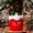 Red B, variant on Konghyp Christmas Apples Box, Holiday Gift Box, Fruit Packaging Container, Decorative Candy Bucket, Perfect for Gifts and Storage, Eco-friendly Plastic Gift Wrap