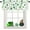 Shamrock3632, variant on Valance Curtains for Windows Green Clover St. Patrick''s Day Kitchen Curtains Window Treatment Irish Holiday Decor Gold Coin Lucky Short Curtain Valances for Kitchen Bathroom Living Room